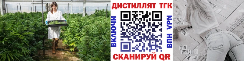 ТГК THC oil  Купить где  Новочеркасск 